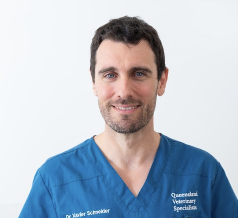 Dr Xavier Schneider - Registered Specialist in Theriogenology